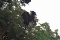 Cinegrafista flagra 'demônio' alado nos Estados Unidos