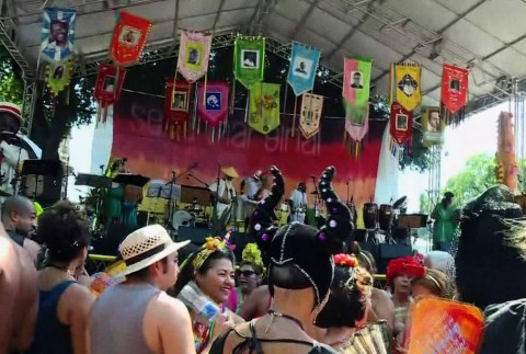 Foliões aguardam início da festa do Cordão do Boitatá, na Praça XV, no Centro do Rio (Foto: G1 Rio)