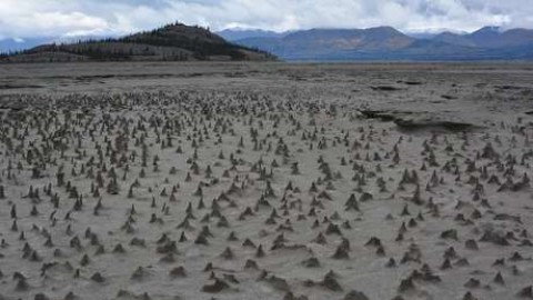 A falta de água deixou exposto o leito do rio.