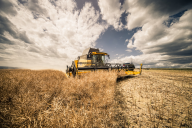 “...UMA MEDIDA DE TRIGO POR UM DINHEIRO, E TRÊS MEDIDAS DE CEVADA POR UM DINHEIRO...” (Ap 6, 6)   Ataque hacker contra a cadeia de abastecimento alimentar pode levar à escassez de alimentos